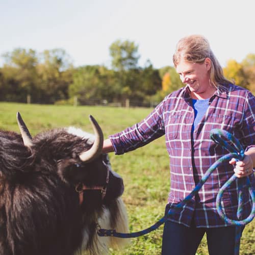 Meet Jericho And A Yak FarmHer FarmHer