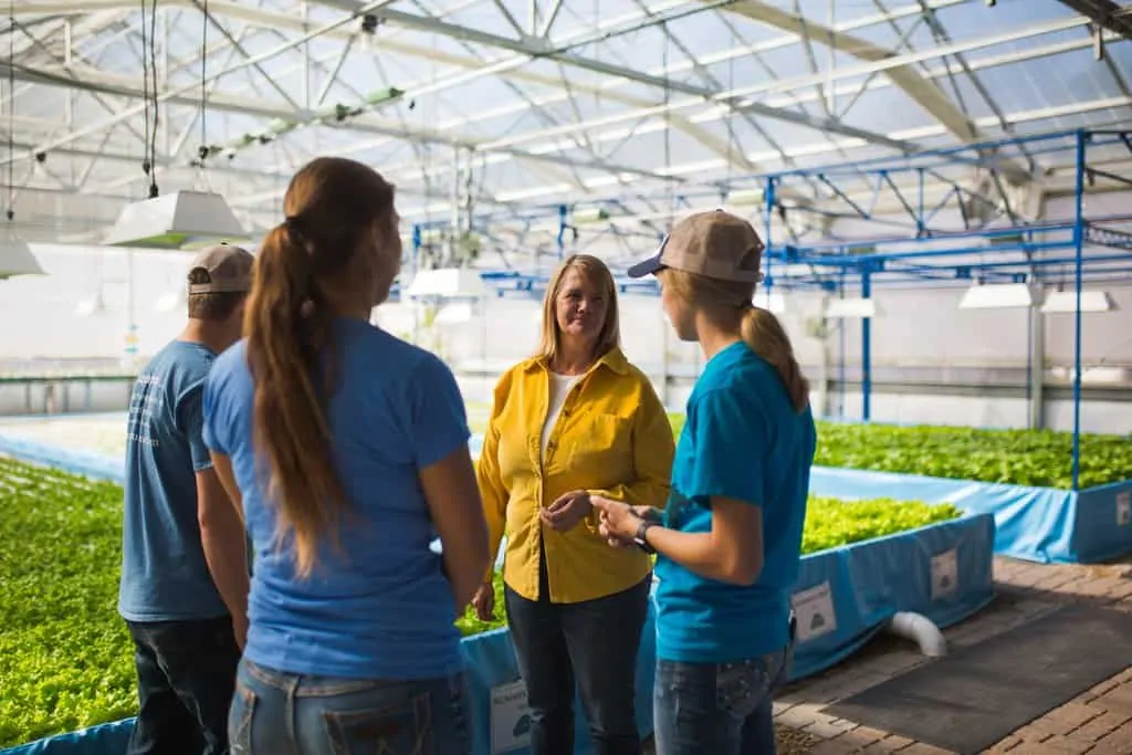 Farmers stand in a hydroponic greenhouse that is growing lettuce 