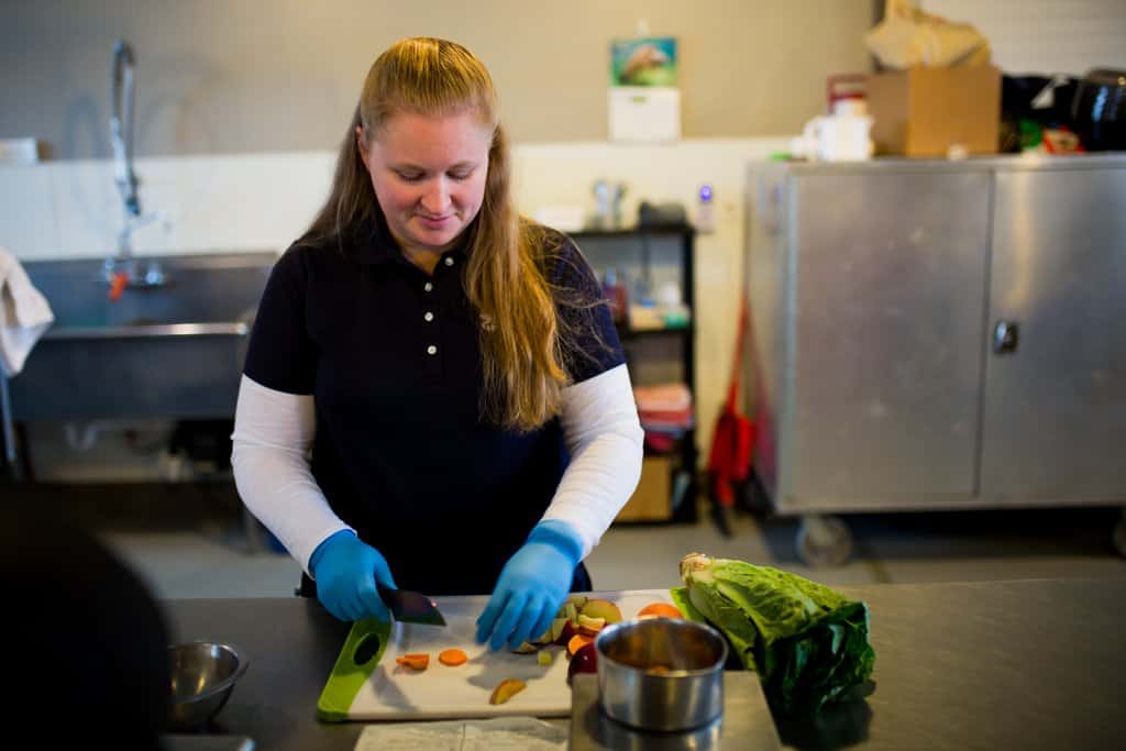 Zookeeper cuts carrots and vegetables for zoo animals in kitchen. 