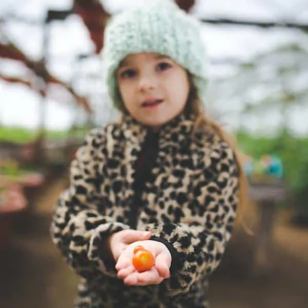 Young girl holds a tomato in a greenhouse