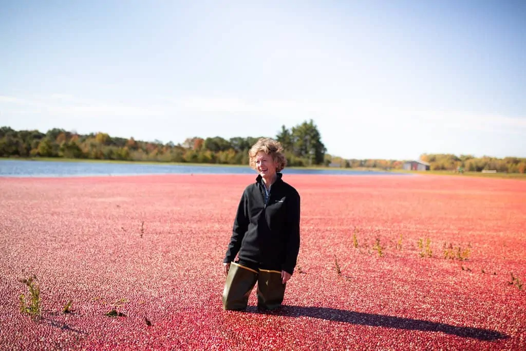 Mary Brazeau Brown stands in her cranberry marsh at Glacial Lake Cranberries farm that grows for Honestly Cranberries. 