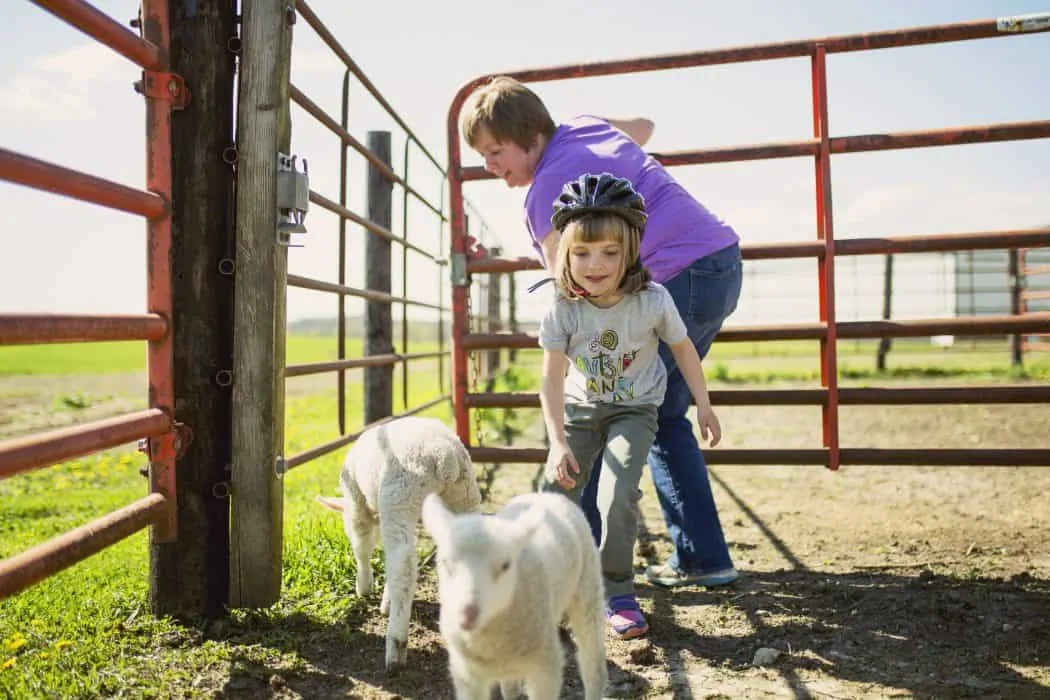 Erin and her daughter work together on the farm.  Here they are with their two lambs.