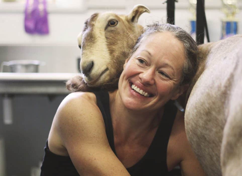 Lois Reichert of Reichert's Dairy Air micro dairy in knoxville, iowa milks her goat, gracie before making cheese.