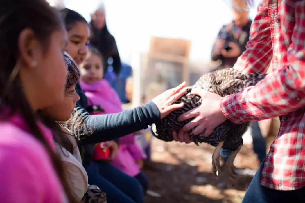Students learn more about agriculture at Tucson Village Farm.