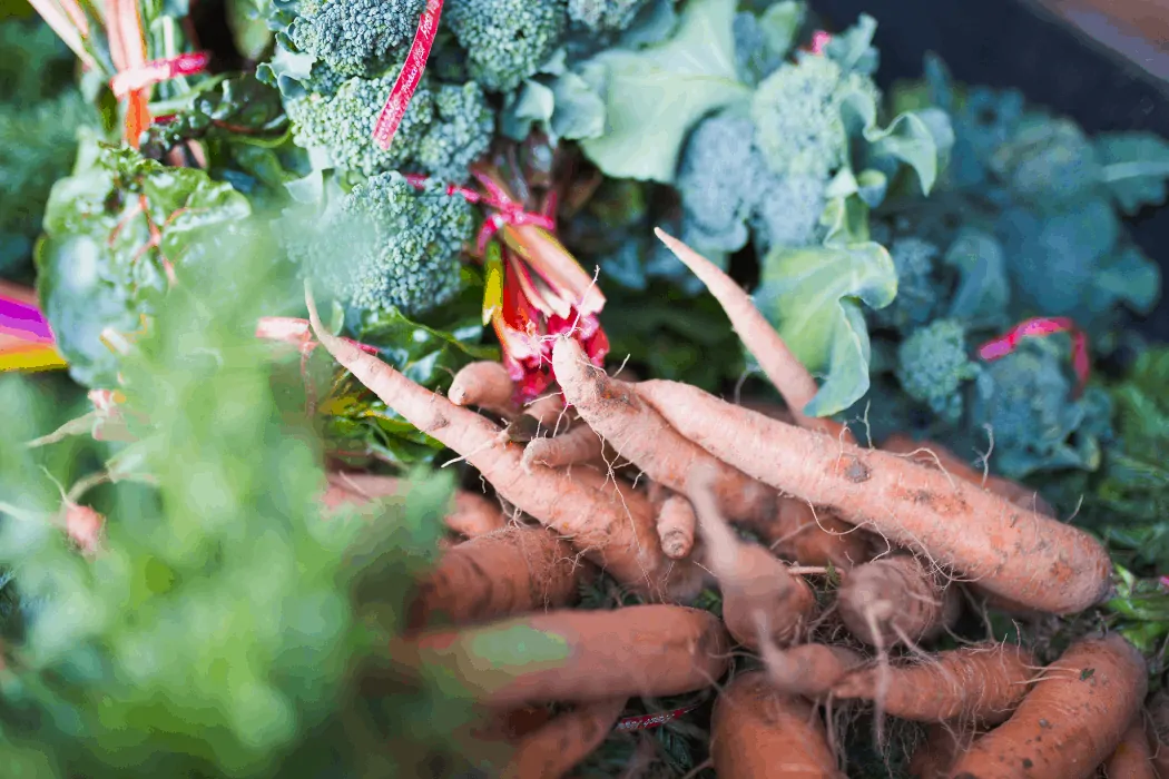 A crop of carrots and other vegetables that are grown at Pinnacle Farms in Arizona.