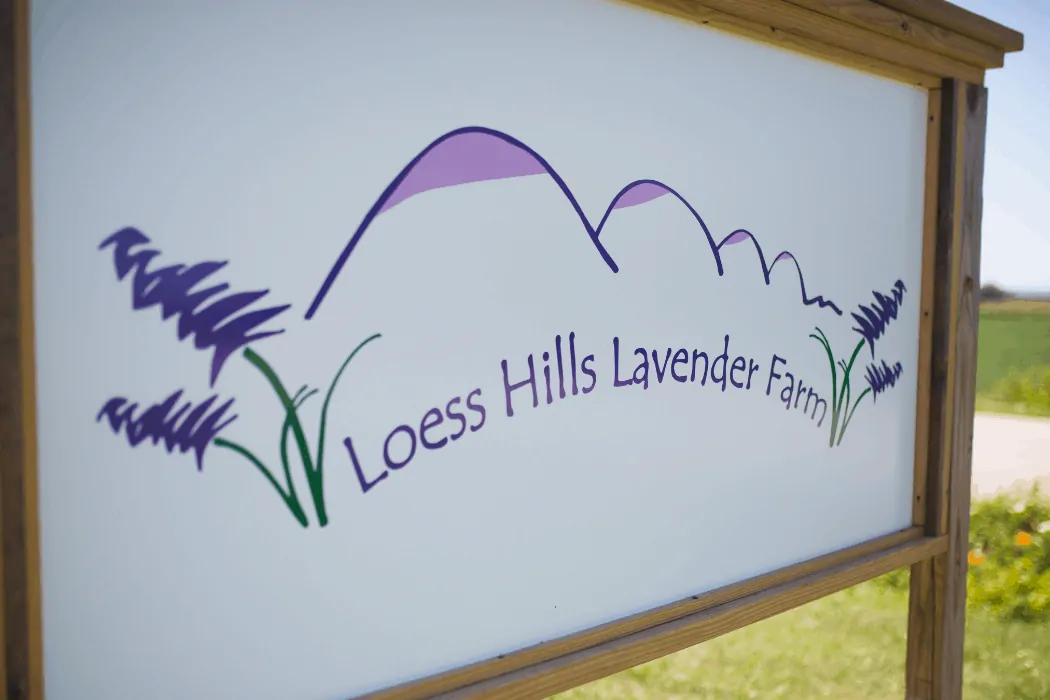 Loess Hills Lavender Farm is located in Missouri Valley, Iowa.
