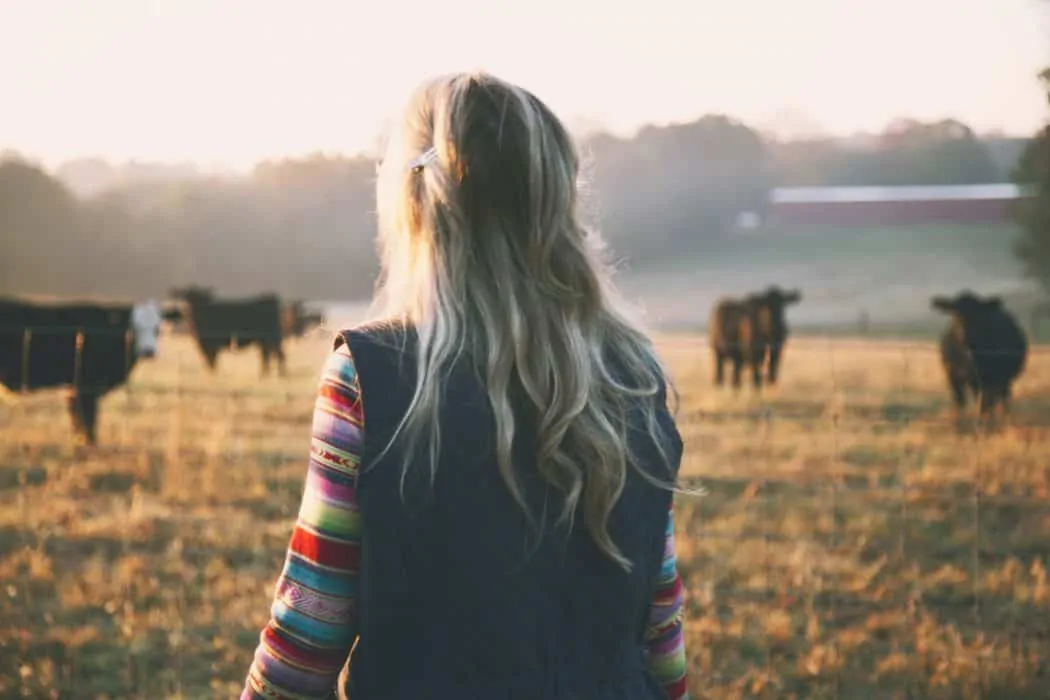 A FarmHer looks out over her field, assessing her cattle in the early morning light.
