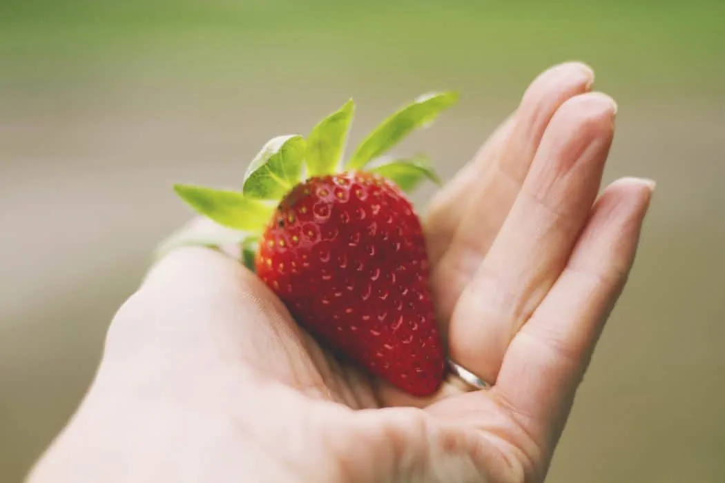 Woman's hand with wedding ring holding ripe strawberry.