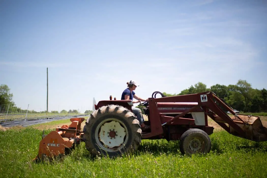 Woman driving International tractor through grass on agriculture farm. 