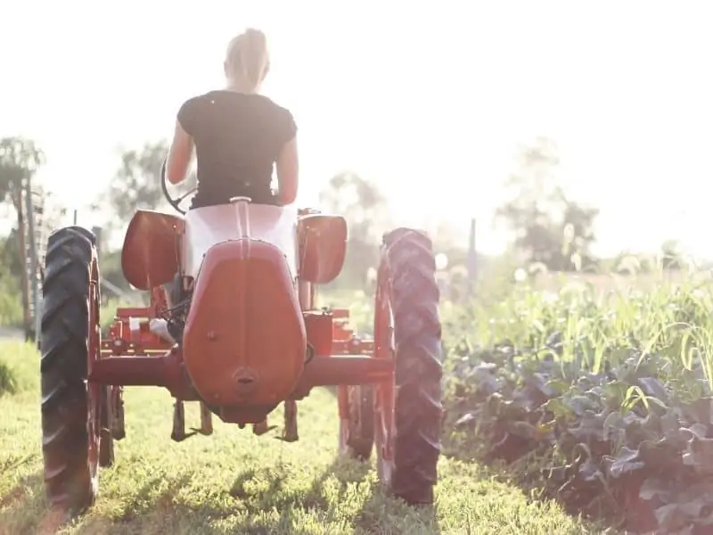 Woman on red tractor in garden 