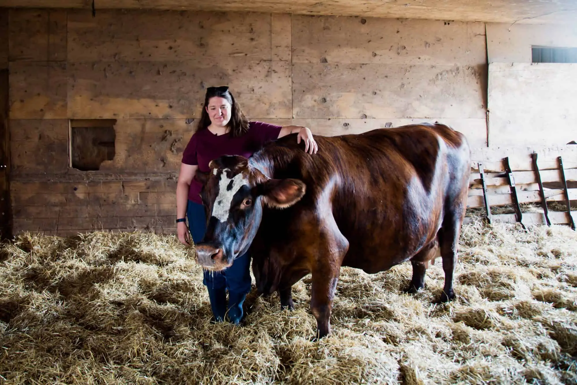 Wisconsin Food Blogger and FarmHER Carrie Mess, aka Dairy Carrie, with one of her cows.