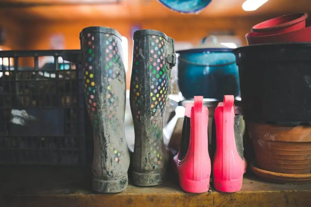 Polka dot rain boots and pink work boots sitting together on the farm. 