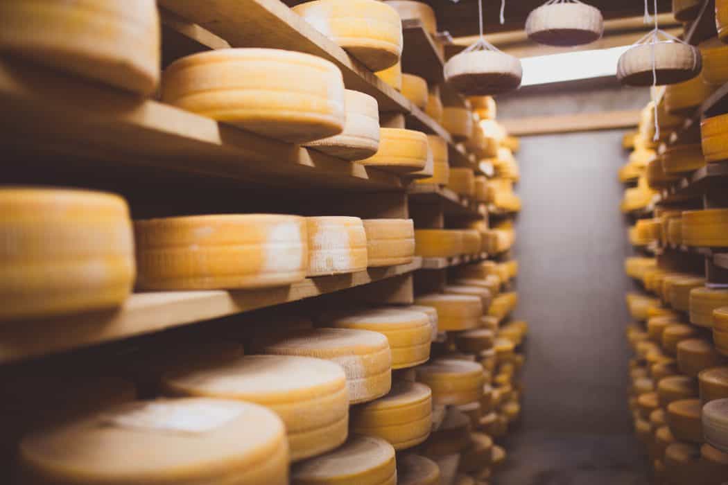 A room full of fresh made cheese at the Marcoot Creamery. 