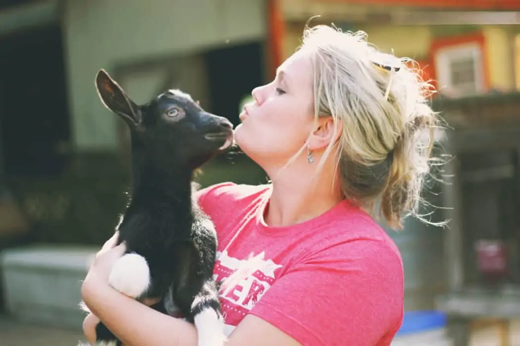 A woman in a red t-shirt and baby goat kissing on The Dancing Goat dairy. 