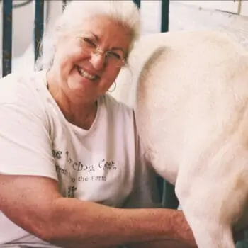 Pam Lunn, owner of The Dancing Goat, milking a dairy goat on her farm.