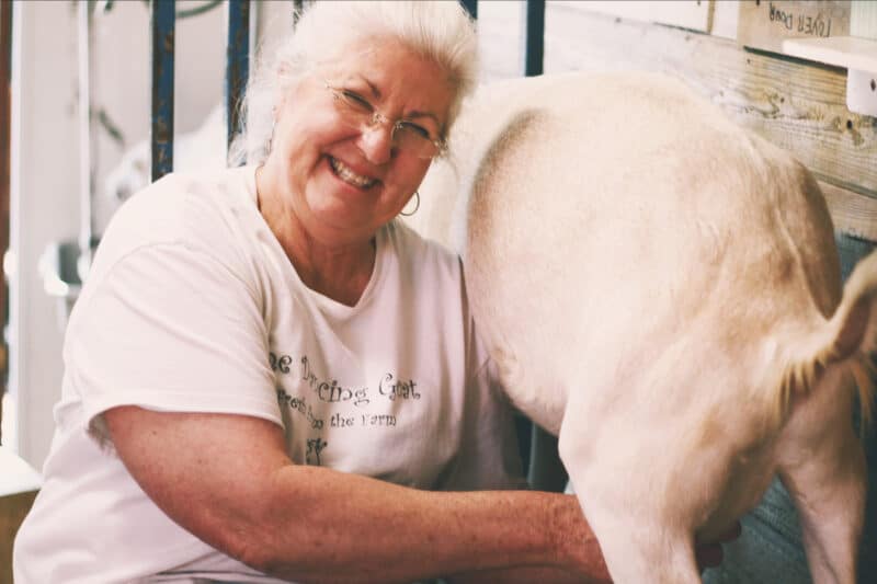 Pam Lunn, owner of The Dancing Goat, milking a dairy goat on her farm.