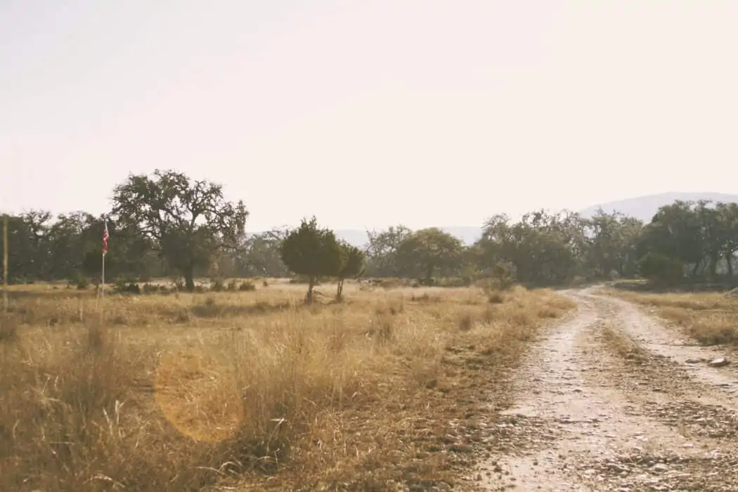 A lone survivor on a Texas ranch. 