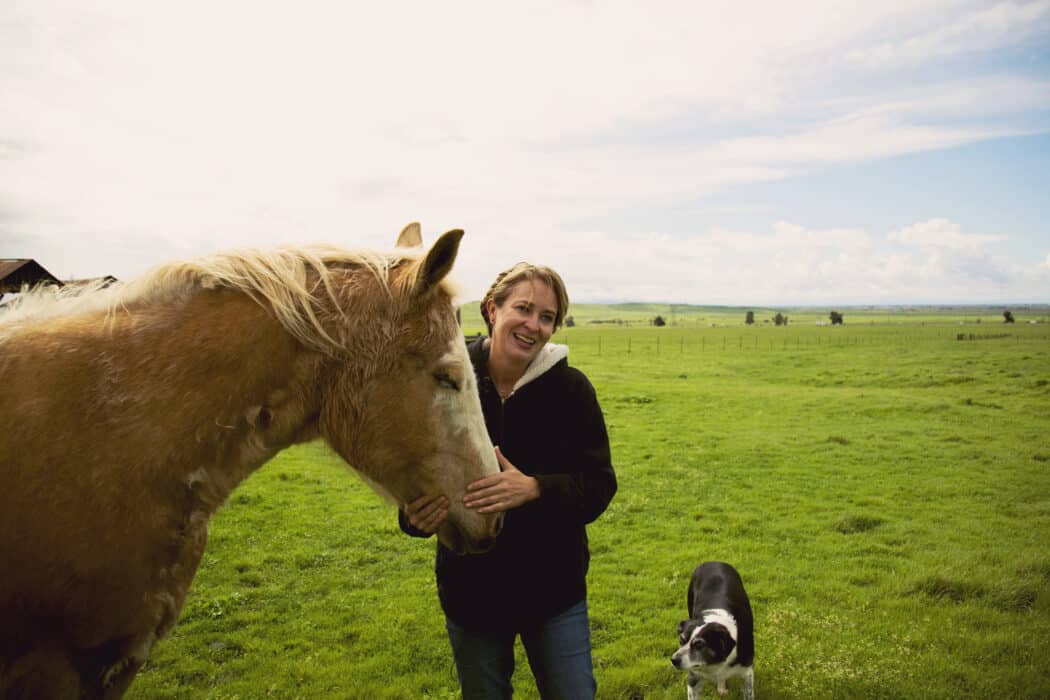 RanchHer standing in a green pasture with horse and cow dog