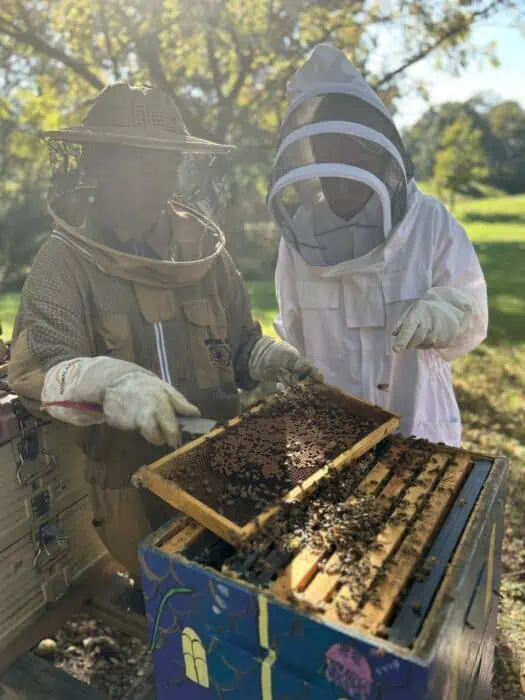 FarmHER Amber Rutledge leading TV Host Kirbe Schnoor through a hive inspection on her honey operation.