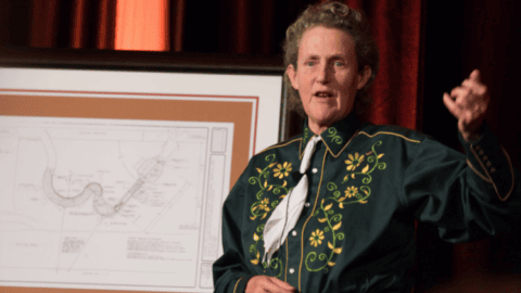 dr mary temple grandin giving a speech at colorado state university.
