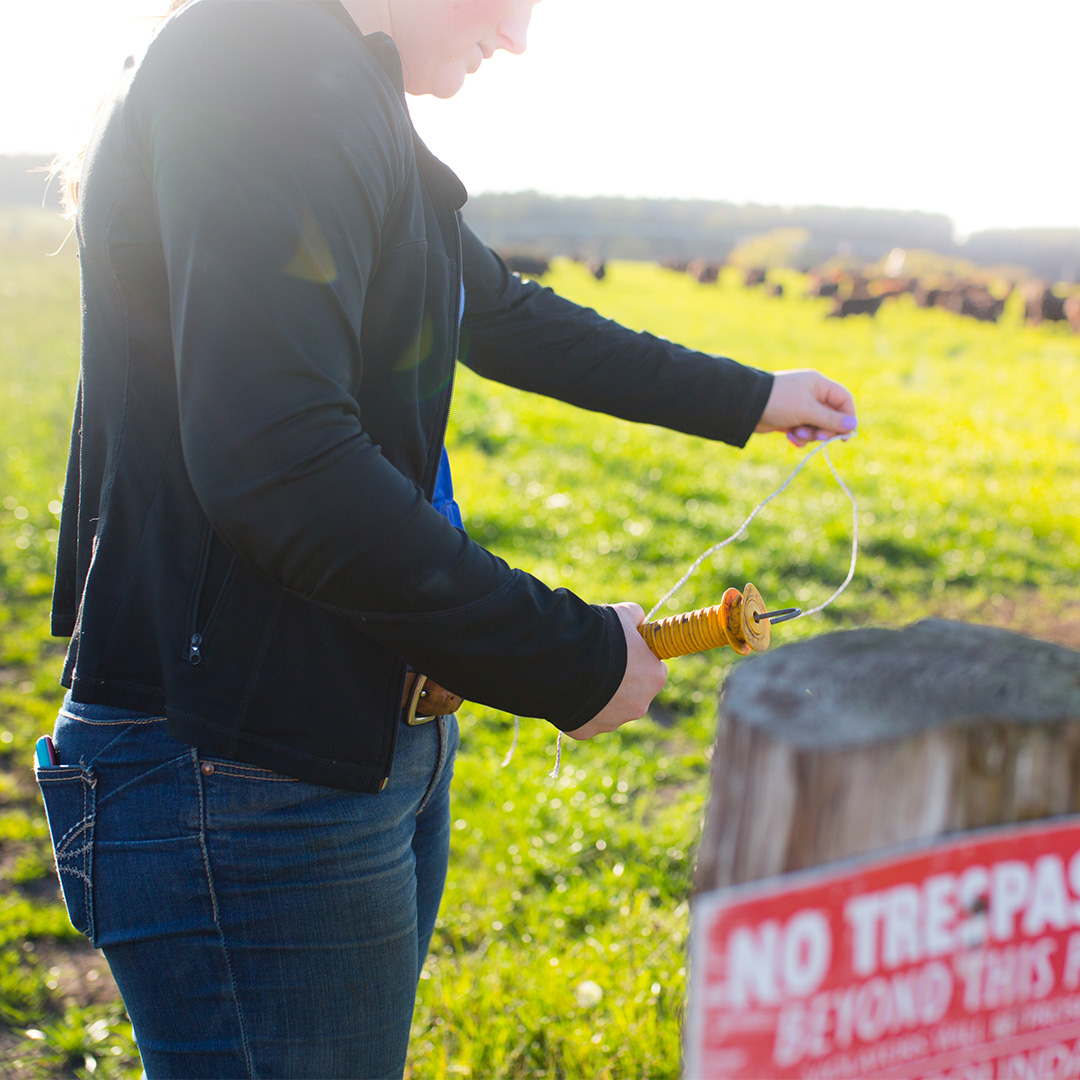 7 Ways to Shine a Light on Eletrical Safety This Winter