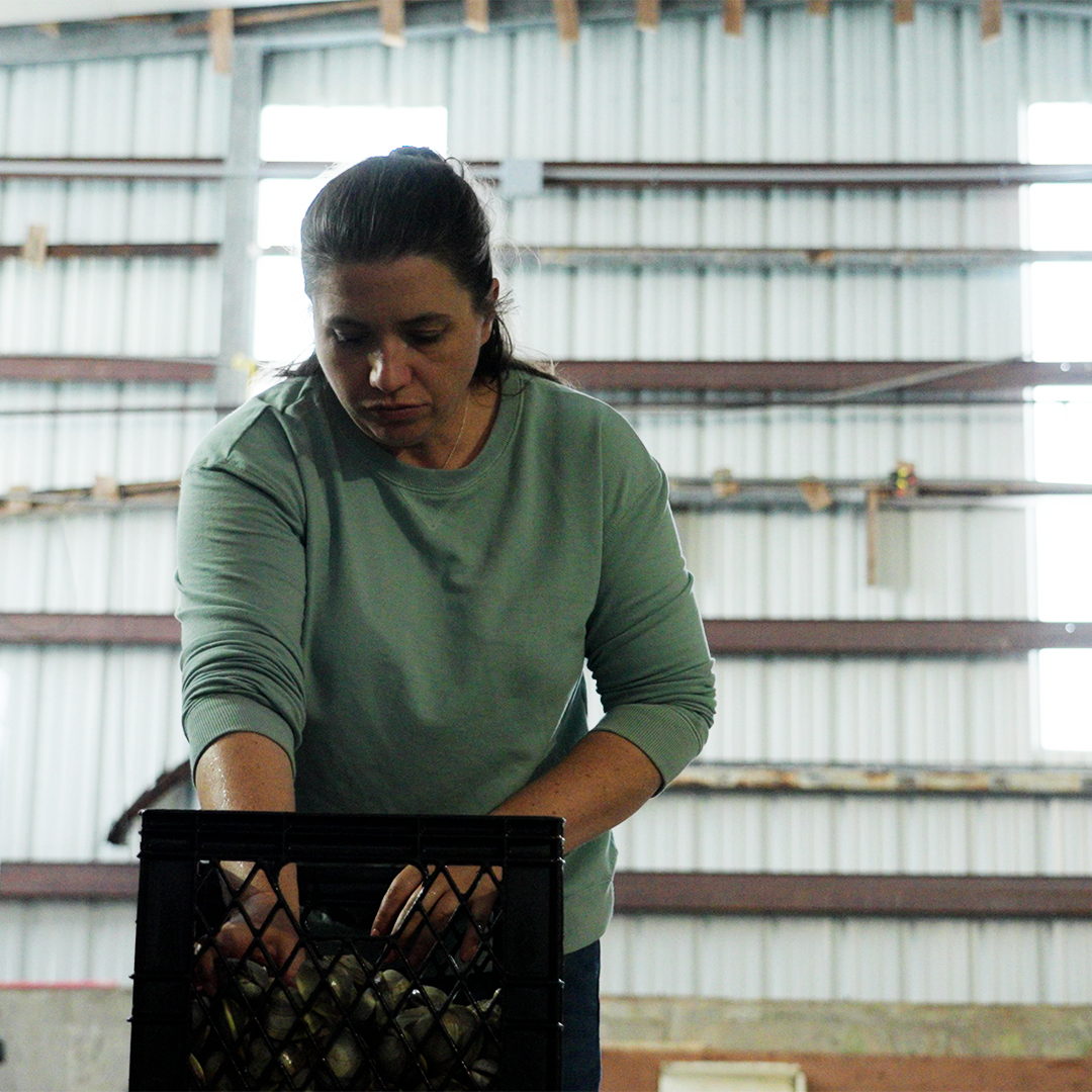 Shellfish FarmHER Catches Success on Cape Cod